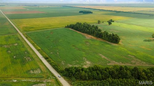 0 County Road 264/265, Hayti, MO, 63851 | Card Image