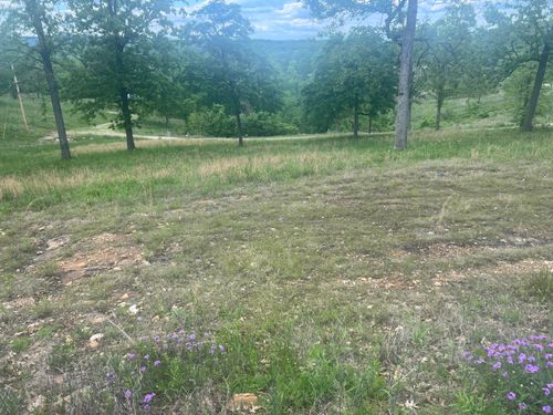 000 Bell Jon Acres Ln, Golden, MO, 65658 | Card Image