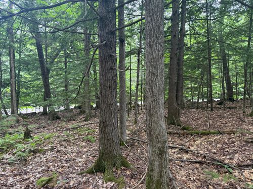 R1 L10A Hovey Rd, Farmington, ME, 04938 | Card Image