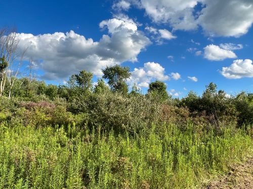 Parcel 009 Great Barrington Drive, Holly Township, MI, 48442 | Card Image