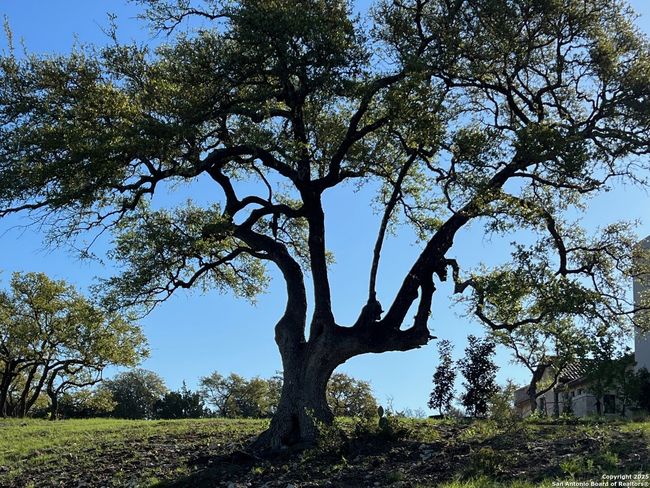 LOT 20A Clubs Dr, Home with 0 bedrooms, 0 bathrooms and null parking in Boerne TX | Image 10