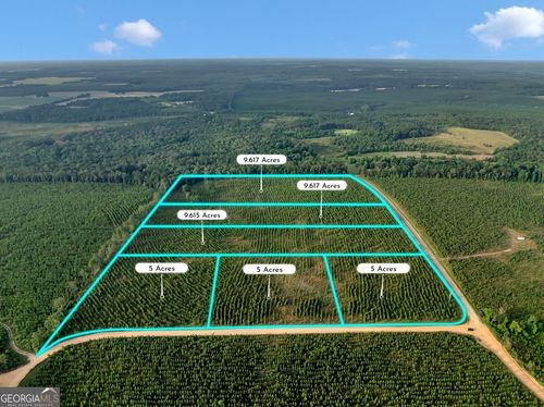 PARCEL 12 Carl Rodgers Road, Reynolds, GA, 31076 | Card Image