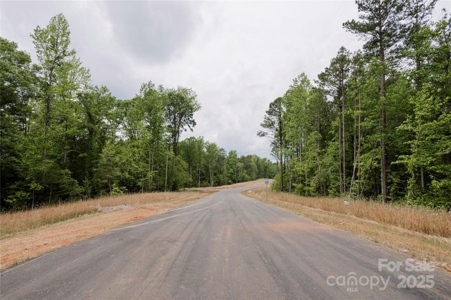Lot 12 American Bittern Way, Home with 0 bedrooms, 0 bathrooms and null parking in Clover SC | Image 7