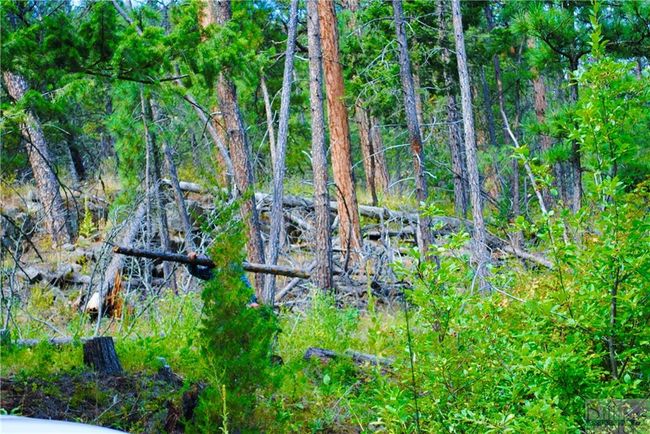 0 Box Canyon Ln, Home with 0 bedrooms, 0 bathrooms and null parking in Cascade MT | Image 7