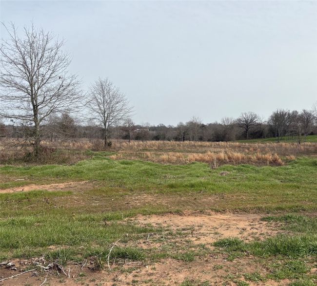 TRACT-2 - TBD County Road 2425, Home with 0 bedrooms, 0 bathrooms and null parking in Como TX | Image 5