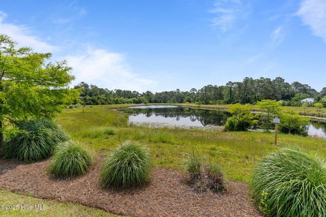 2169 Whiskey Branch Dr, House other with 3 bedrooms, 3 bathrooms and 2 parking in Wilmington NC | Image 53