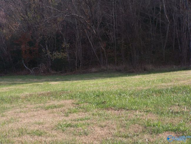 2176 Columbia Hwy, Home with 0 bedrooms, 0 bathrooms and null parking in Pulaski TN | Image 5