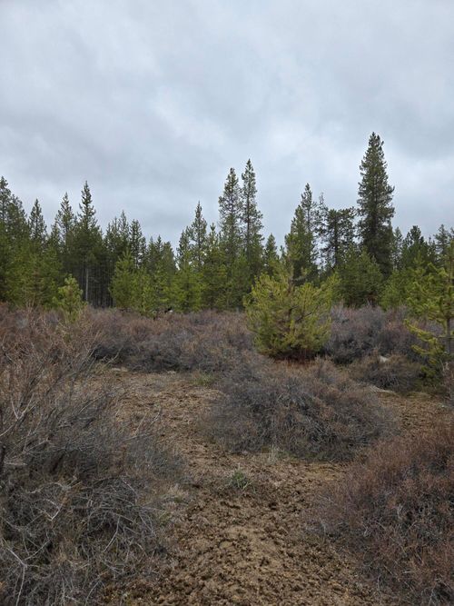 16349 Sparks Dr, La Pine, OR, 97739-9669 | Card Image