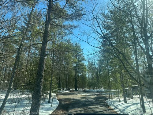 15967 Spruce Dr, Presque Isle, MI, 49777-8700 | Card Image