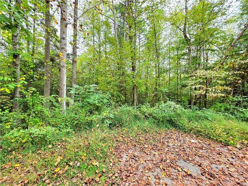 Lot 1 Holder St, Hays, NC, 28635 | Card Image