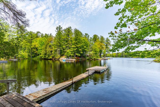 1700 Kushog Lake Rd, House other with 3 bedrooms, 2 bathrooms and 2 parking in Algonquin Highlands ON | Image 4