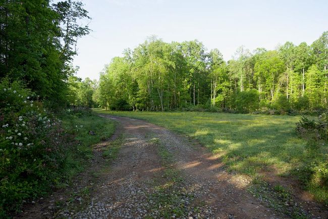 40.46AC Barker Cove Loop, Home with 1 bedrooms, 1 bathrooms and null parking in Palmer TN | Image 31