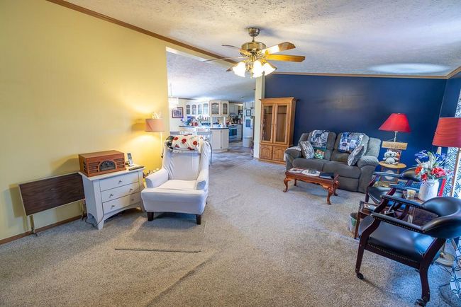 Carpeted living area featuring crown molding, a textured ceiling, ceiling fan, and baseboards | Image 19