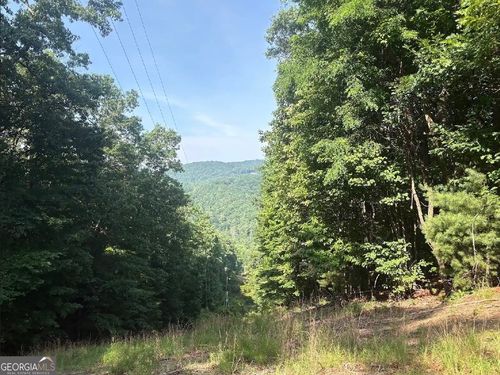 00 Laurel Branch Drive, Jasper, GA, 30143 | Card Image