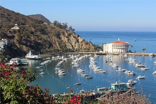 0 Upper Terrace Rd, Avalon, CA, 90704 | Card Image