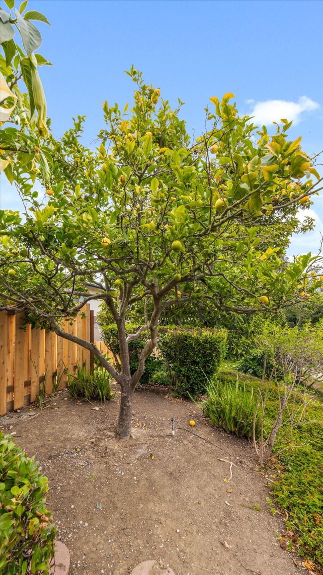 A - 409 Northgate Dr, Condo with 3 bedrooms, 2 bathrooms and null parking in Goleta CA | Image 6