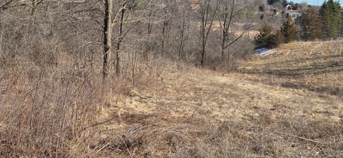 Lot 01 Little Elkhart Lake Rd, Elkhart Lake, WI, 53020 | Card Image