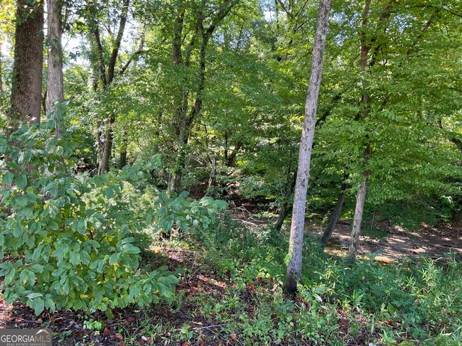 13 County Road 1042, House other with 1 bedrooms, 1 bathrooms and null parking in centre AL | Image 39