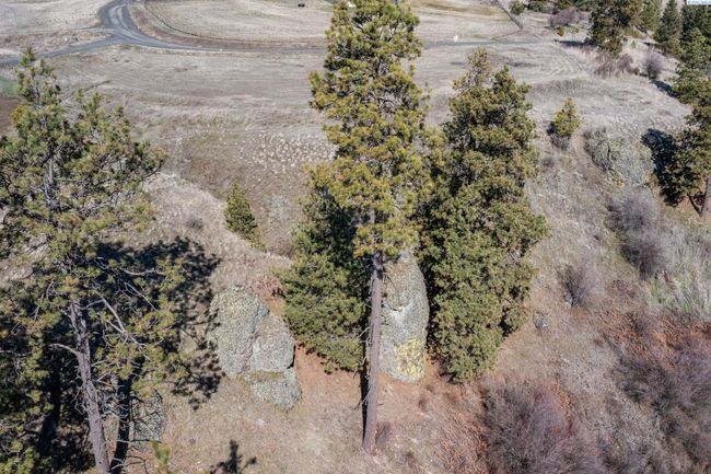 6E Red Tail Ridge Rd, Home with 0 bedrooms, 0 bathrooms and null parking in Colfax WA | Image 5