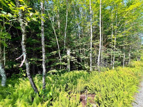 lot-2-501 Martins Pond Lane, Peacham, VT, 05862 | Card Image