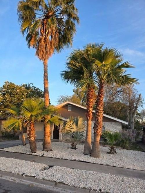 419 E Vine Avenue, McAllen, TX, 78501 | Card Image