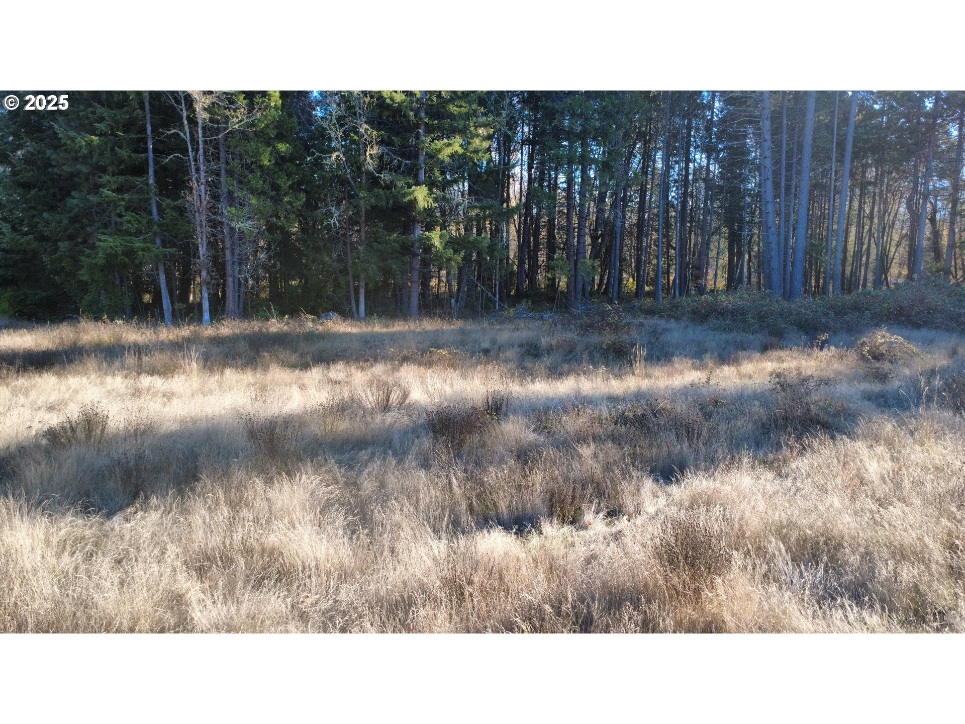 Land in Azalea 2