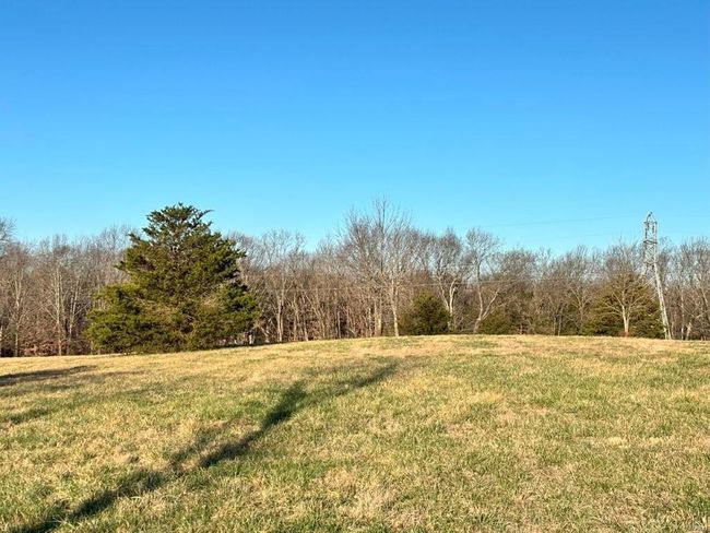 View of yard | Image 4