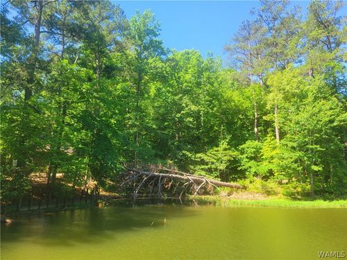15 Freemans Bend Rd, Northport, AL, 35475 | Card Image