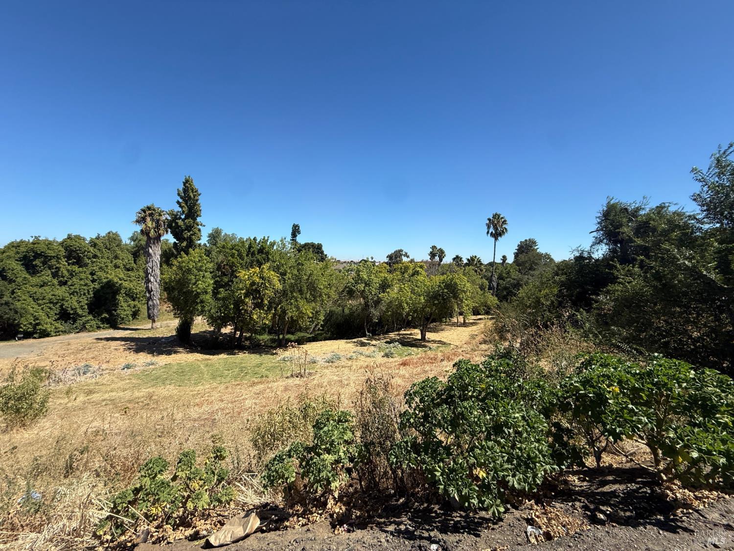Land in Antioch 4