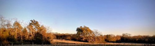 7034 Us Highway 67 E, Cookville, TX, 75558-5113 | Card Image