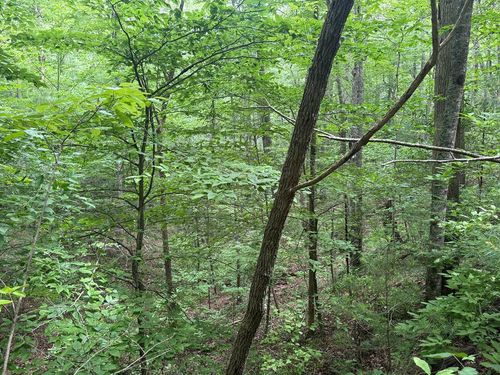 1 ac Ace Way, Blairsville, GA, 30512-4803 | Card Image