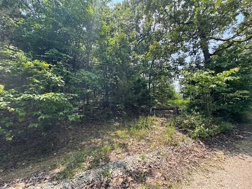 46 Worthen Dr, Mountain Home, AR, 72653-7858 | Card Image