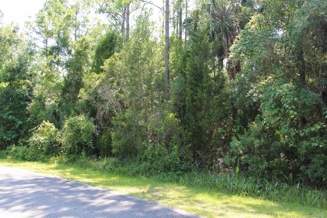 1 Hobbs Way, Home with 0 bedrooms, 0 bathrooms and null parking in ST MARKS FL | Image 8