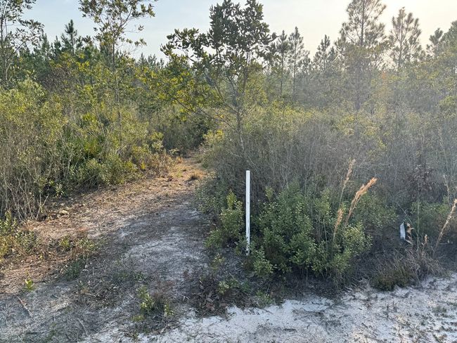 1139 Henry Walcott Rd Nw, Home with 0 bedrooms, 0 bathrooms and null parking in Ludowici GA | Image 6