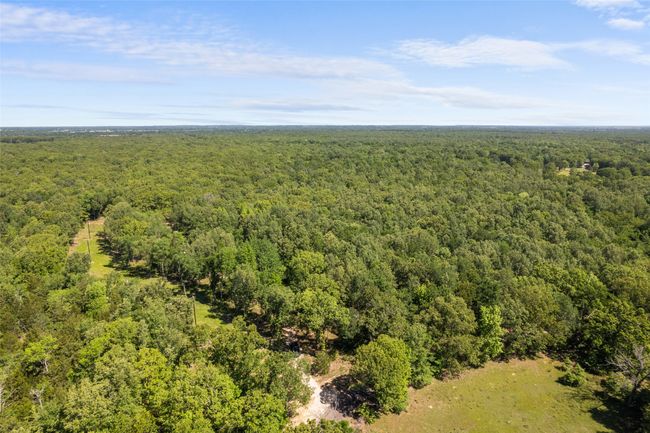 Drone / aerial view with a view of trees | Image 17