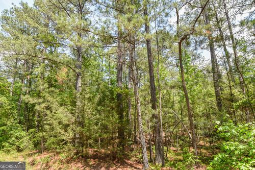 lot-5-0 Skelton Road, Thomaston, GA, 30286 | Card Image