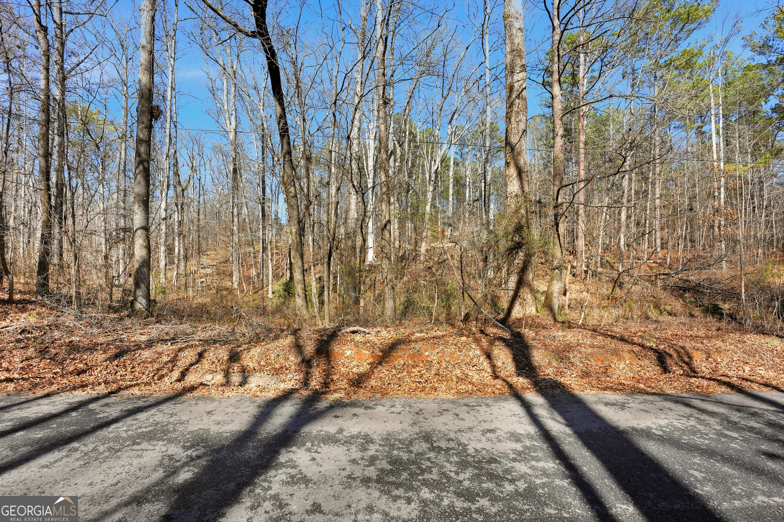 Land in Covington
