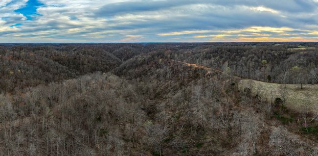 1438 Wartrace Rd, Home with 0 bedrooms, 0 bathrooms and null parking in Red Boiling Springs TN | Image 5