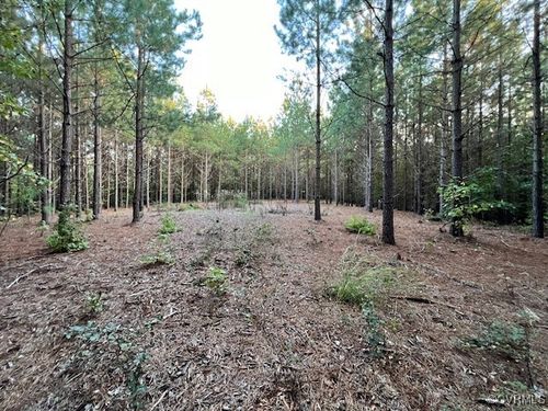 TBD Winnsville Dr, BREMO BLUFF, VA, 23022 | Card Image