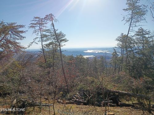 342 Wallen Ln E, Thorn Hill, TN, 37881-6010 | Card Image