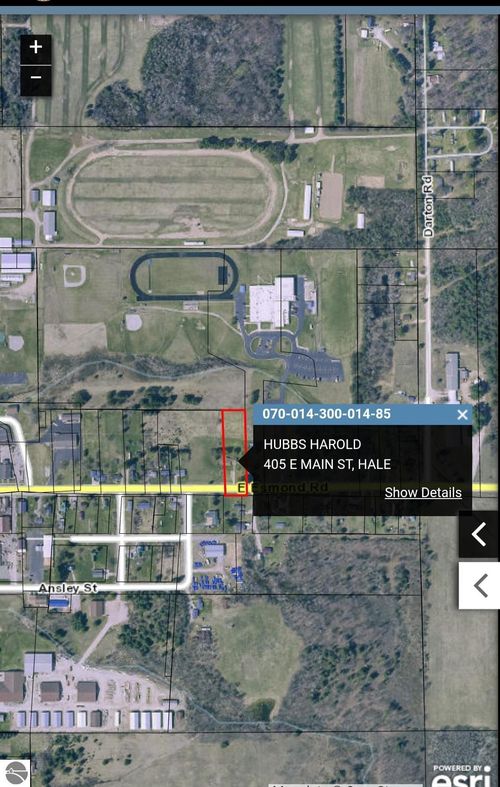 405 E Main St, Hale, MI, 48739-9559 | Card Image