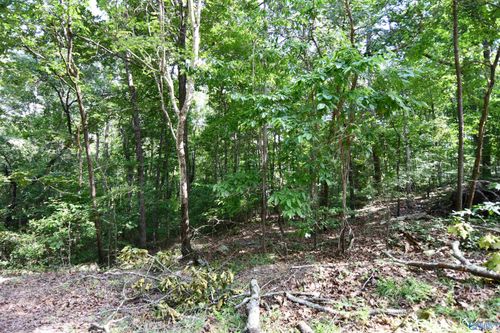 LOT 67 Prince Cir, Gadsden, AL, 35907 | Card Image