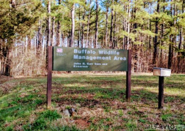 Lot 4 Grant Lane, Home with 0 bedrooms, 0 bathrooms and null parking in Buffalo Junction VA | Image 12