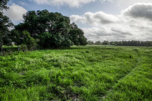 8 S Nassau Rd, Round Top, TX, 78954 | Card Image
