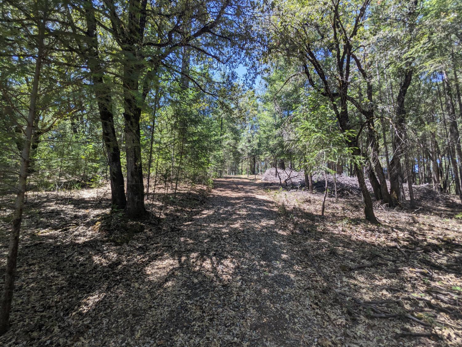 Land in Garden Valley 5