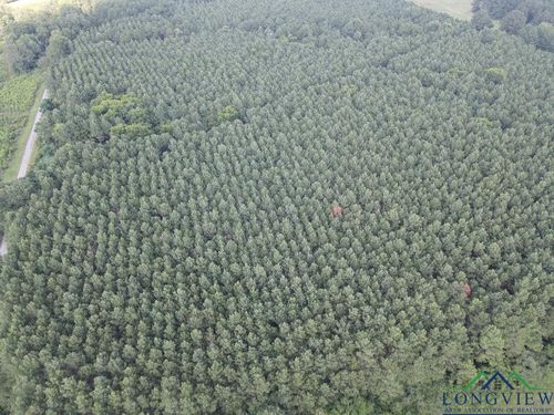 tbd Fm 699, Joaquin, TX, 75954 | Card Image