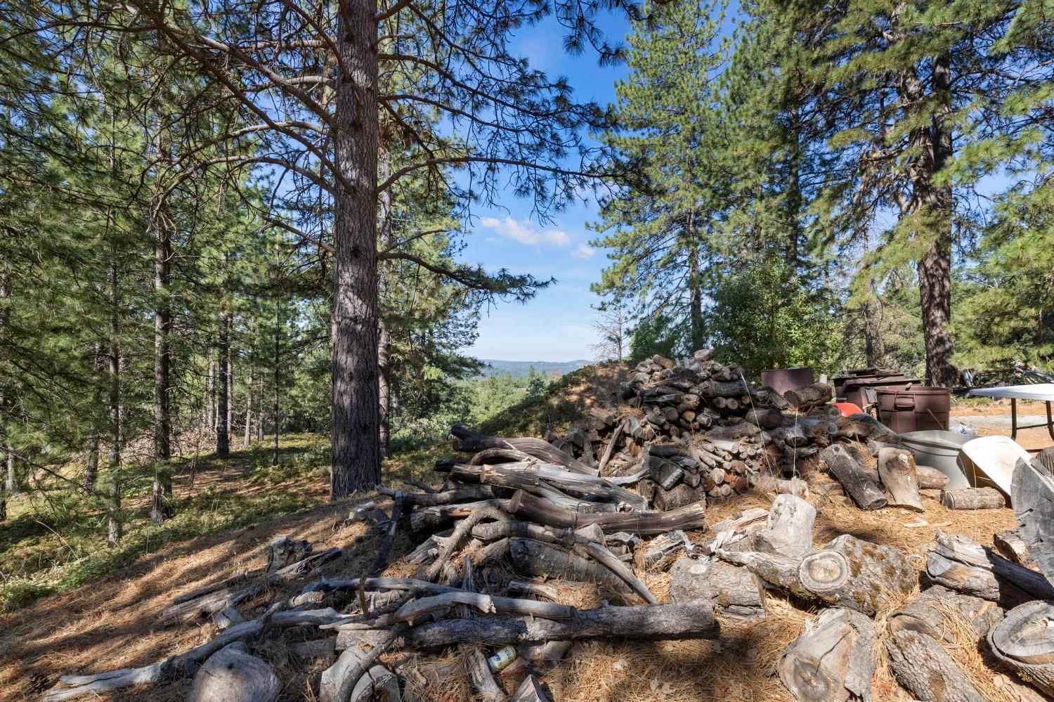 Land in Pioneer
