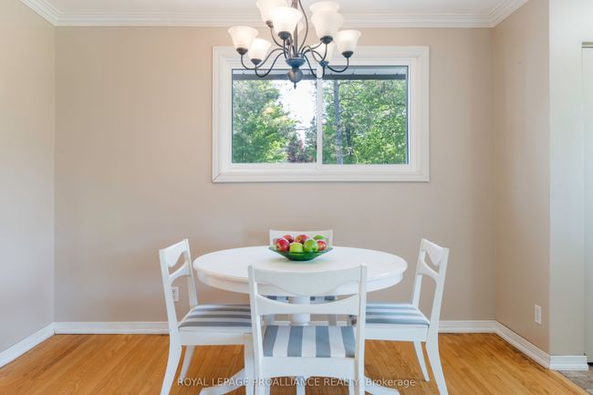 109 Old Madoc Rd, House other with 3 bedrooms, 1 bathrooms and 10 parking in Foxboro ON | Image 9