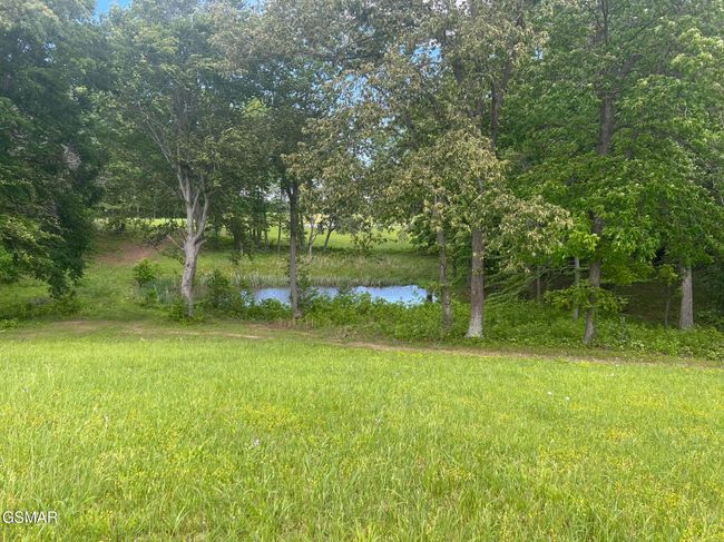 2526 Sunset Blvd, Home with 0 bedrooms, 0 bathrooms and null parking in White Pine TN | Image 14