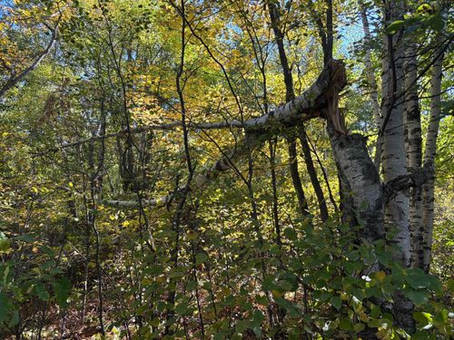 TBD W Highway 210, McGregor, MN, 55760 | Card Image